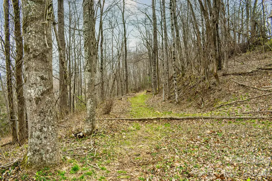 252 Pinewood Circle, Hendersonville, NC 28739 - #2