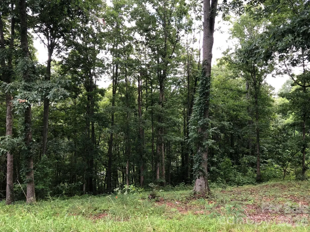45 Sweet Fern Parkway #43, Asheville, NC 28804 - #1