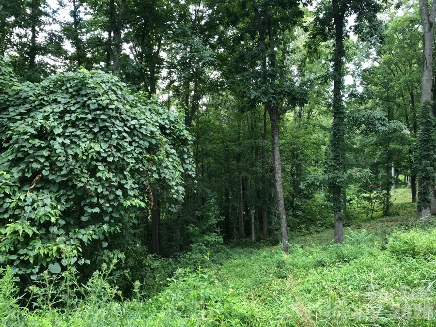 45 Sweet Fern Parkway #43, Asheville, NC 28804 - #2