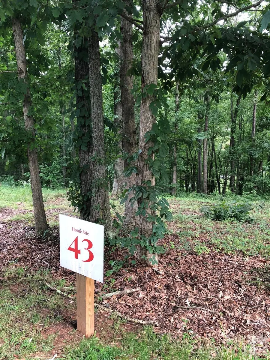 45 Sweet Fern Parkway #43, Asheville, NC 28804 - #3