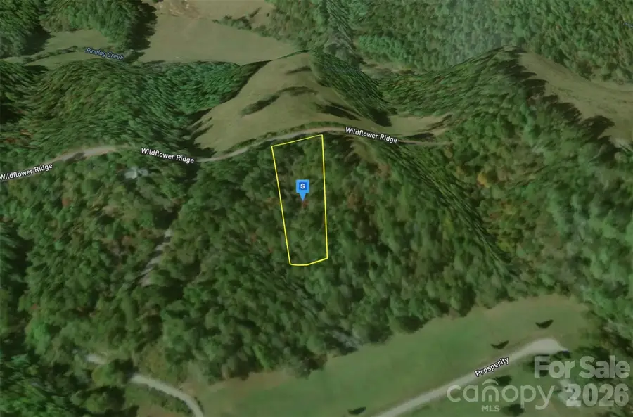 860 Wildflower Ridge, Warne, NC 28909 - #2