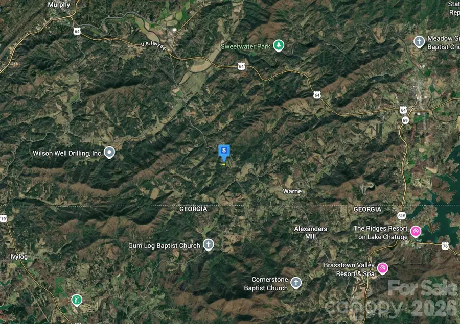 860 Wildflower Ridge, Warne, NC 28909 - #3