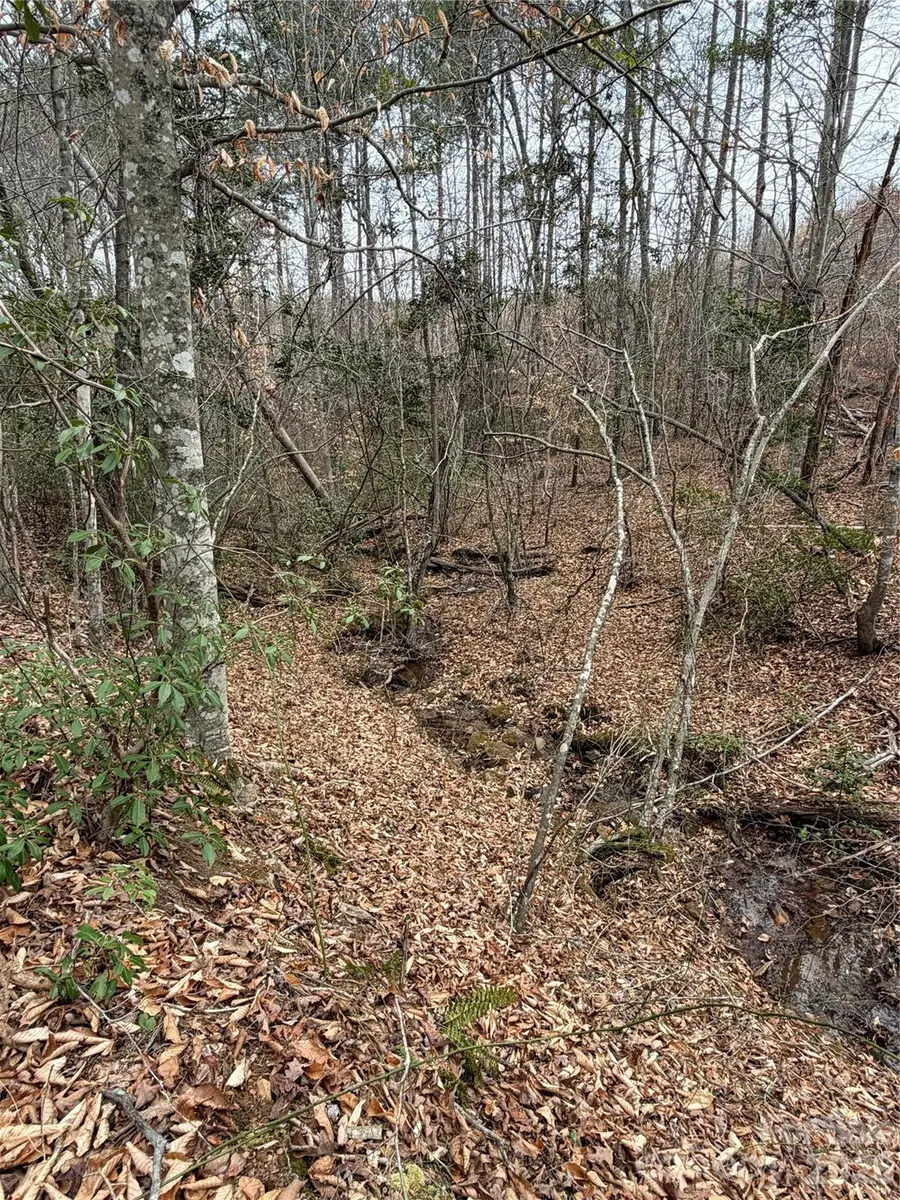 0 Shady Bark Lane #40, Rutherfordton, NC 28139 - #3