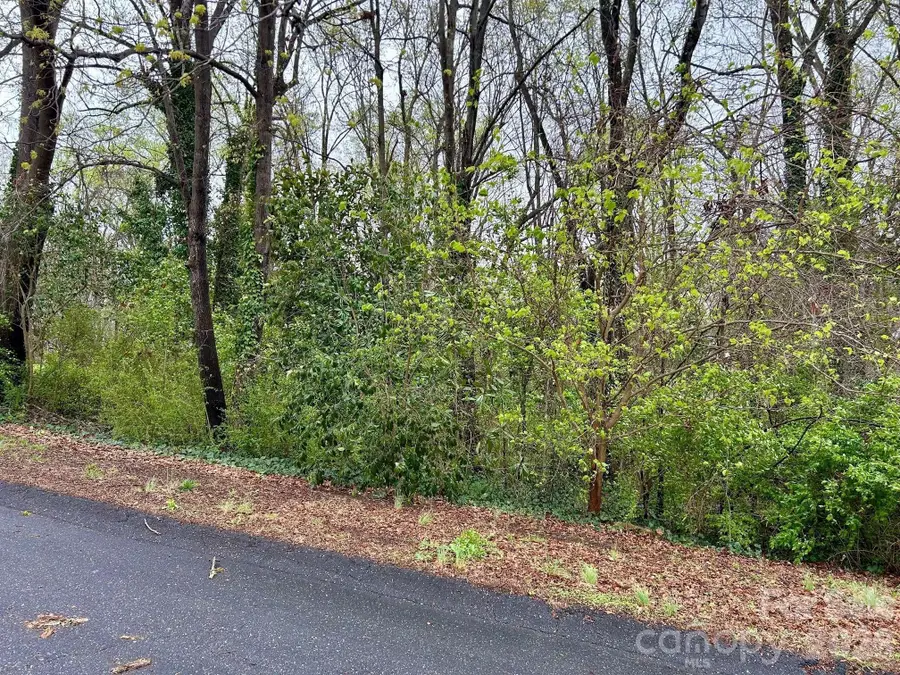 Lot 2 White Street, Gastonia, NC 28052 - #3