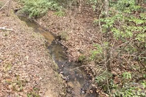 575 Shannons Walk, Lake Lure, NC 28746 - #1