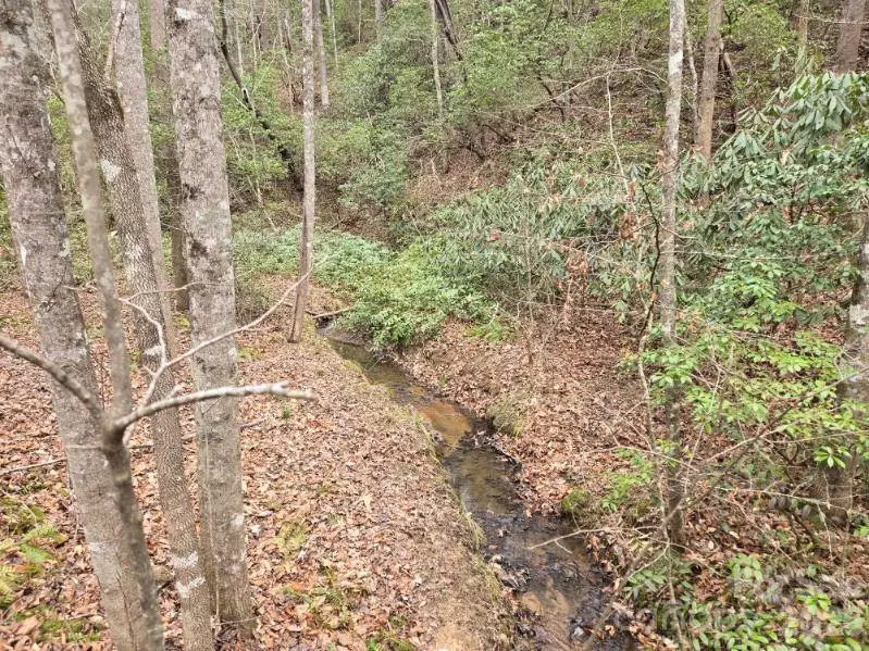 575 Shannons Walk, Lake Lure, NC 28746 - #2