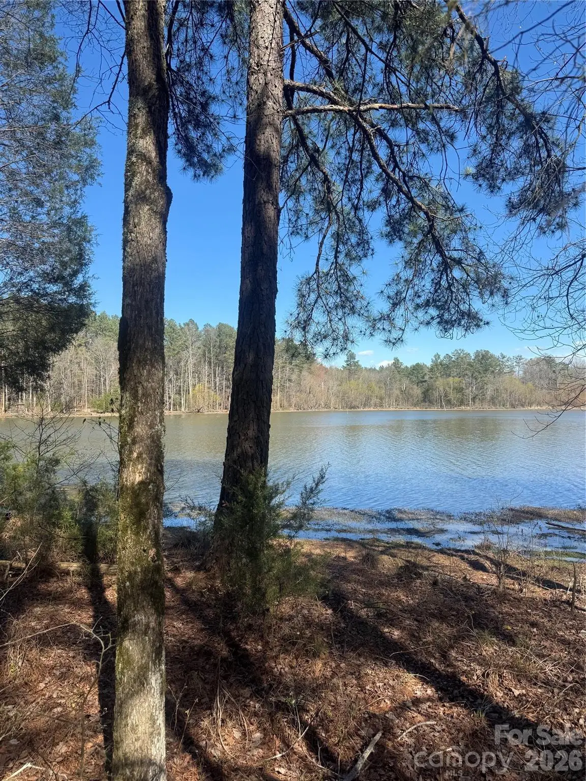 1802 Goings Road, Chester, SC 29706 - #1