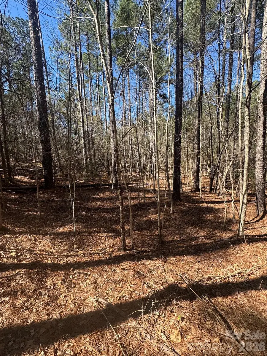 1802 Goings Road, Chester, SC 29706 - #2