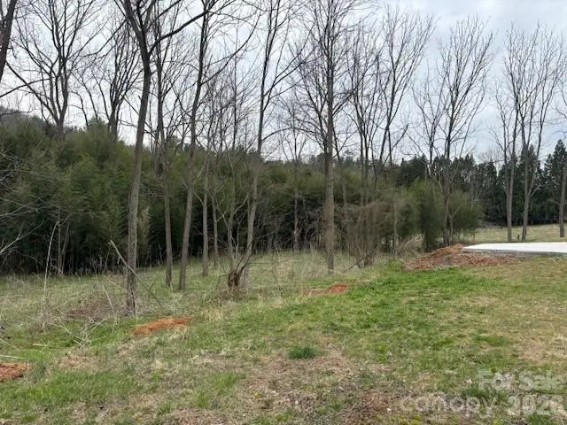 99999 Tatoonie Lane, Asheville, NC 28804 - #2