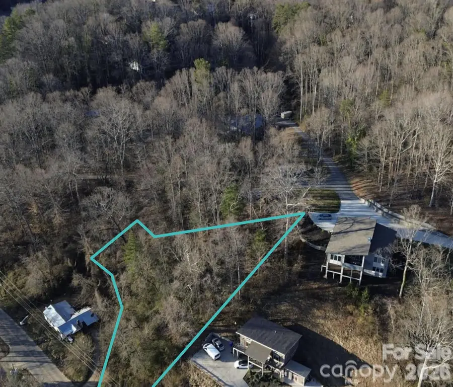 18 Governors View Road, Asheville, NC 28805 - #2