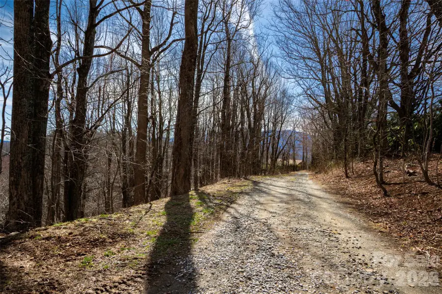 Lot 32 Strawberry Ridge Road, Little Switzerland, NC 28749 - #2