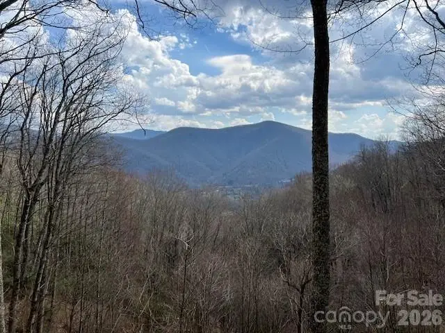 399 Bent Tree Road, Maggie Valley, NC 28751 - #2