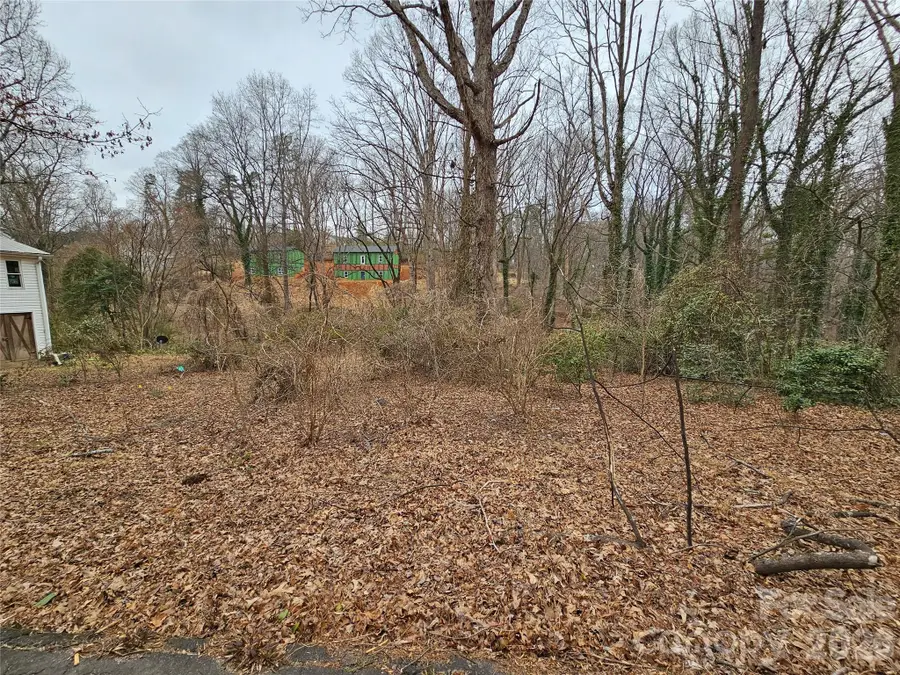 0 Pine Street #25, Tryon, NC 28782 - #2