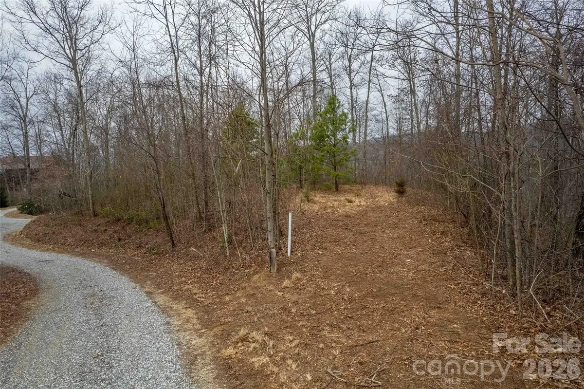 Lot 33 Alarka Highlands Road, Bryson City, NC 28713 - #1