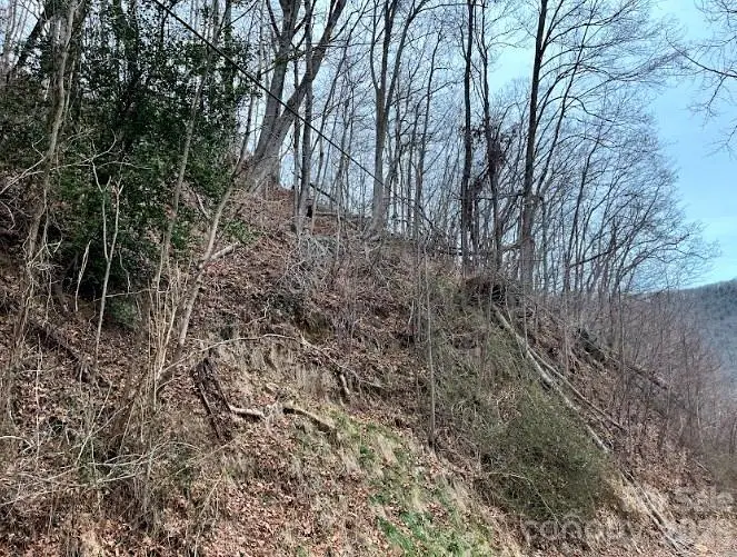 65 Weeping Cherry Forest Road, Fairview, NC 28730 - #1