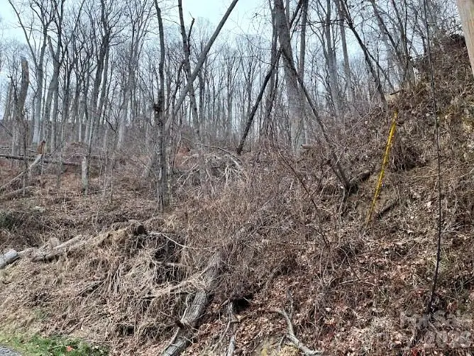 65 Weeping Cherry Forest Road, Fairview, NC 28730 - #2