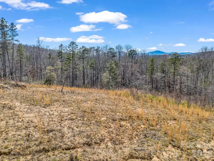 00 Shady Bark Lane #52, Rutherfordton, NC 28139 - #3