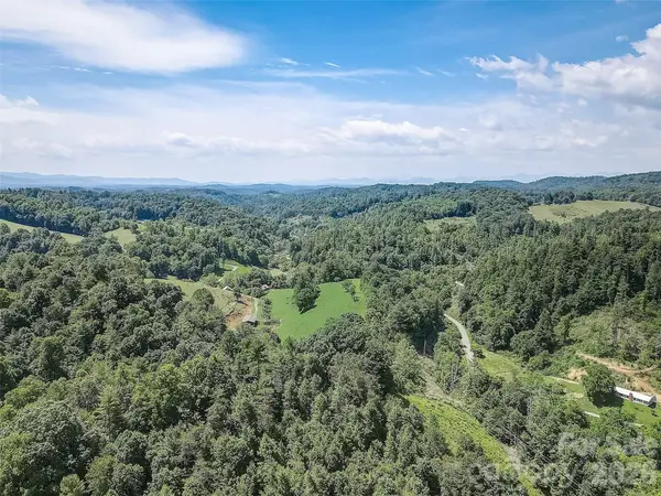 1820 Grapevine Road, Marshall, NC 28753