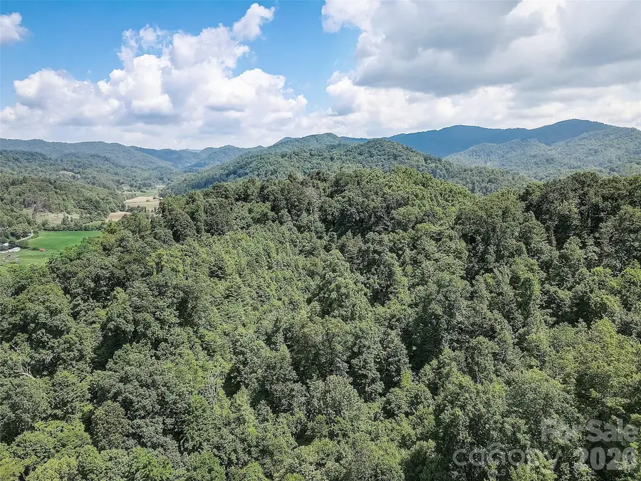 1820 Grapevine Road, Marshall, NC 28753 - #3