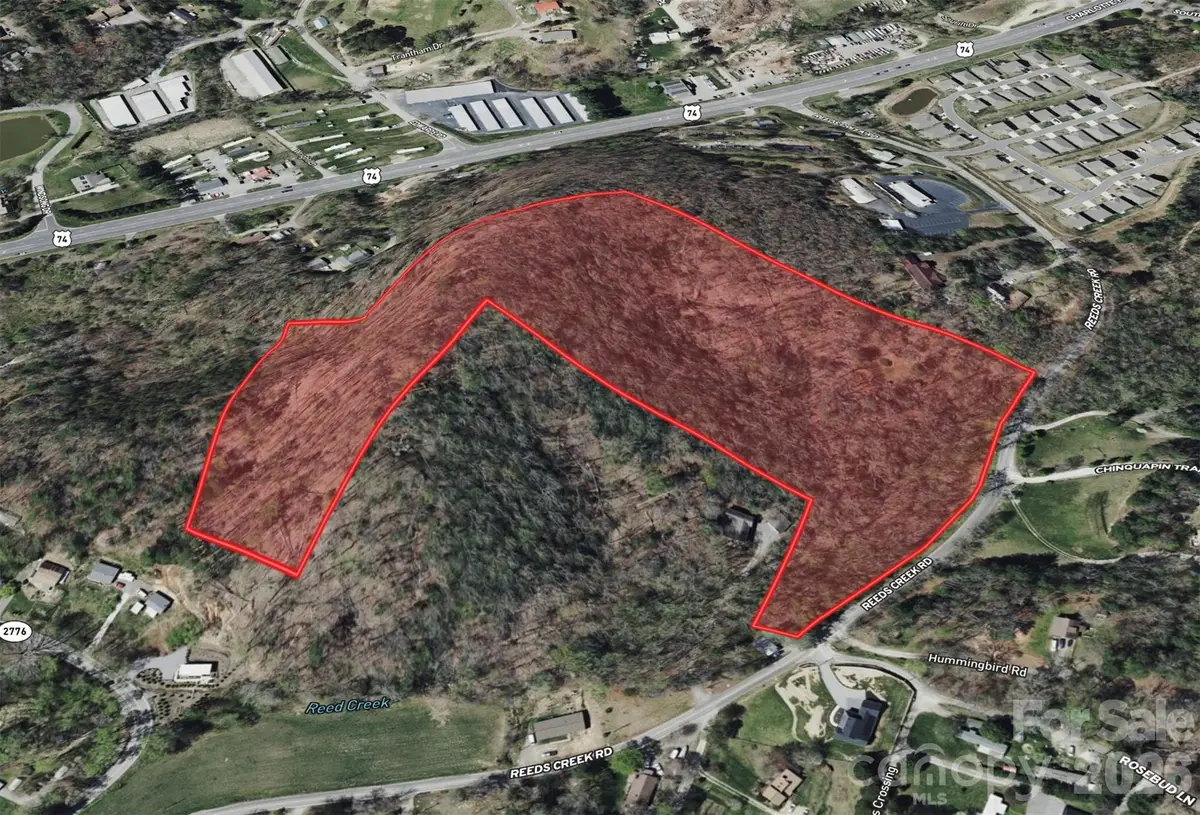 49 Reeds Creek Road, Fairview, NC 28730 - #1