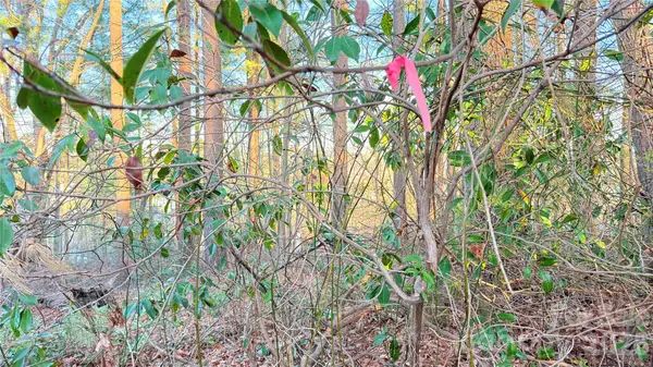 00 Toms Park Circle #21&22, Hendersonville, NC 28792