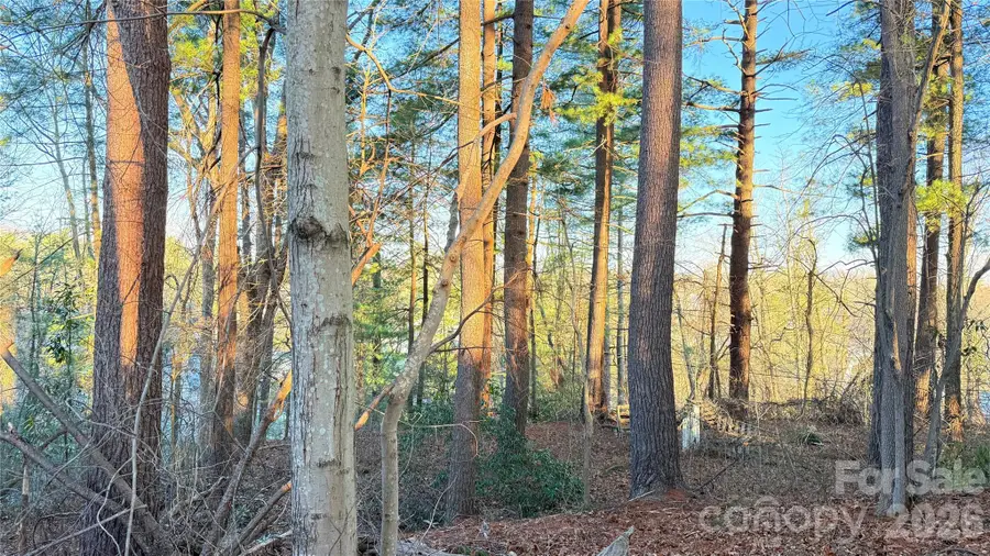 00 Toms Park Circle #21&22, Hendersonville, NC 28792 - #3