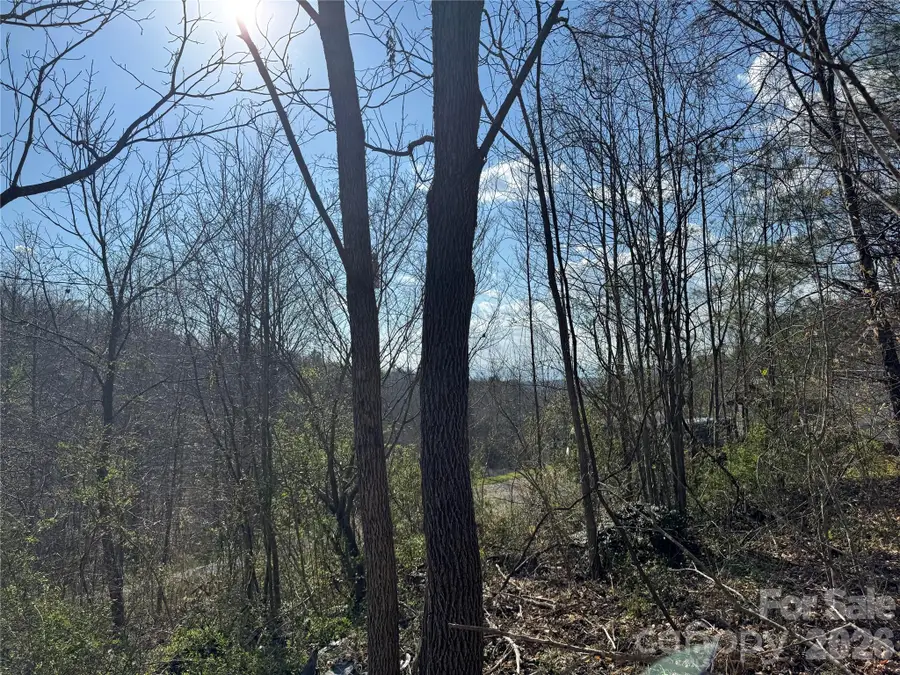 9999 Ox Creek Road, Weaverville, NC 28787 - #2