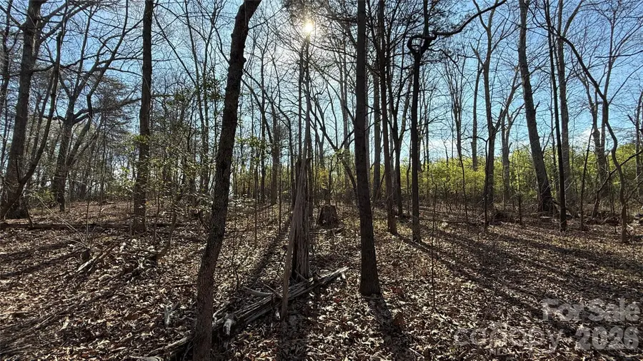 1361 Zeb Haynes Road #2, Maiden, NC 28650 - #2