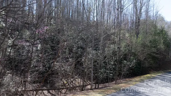 Lot 27-11 High Trail Drive, Nebo, NC 28761