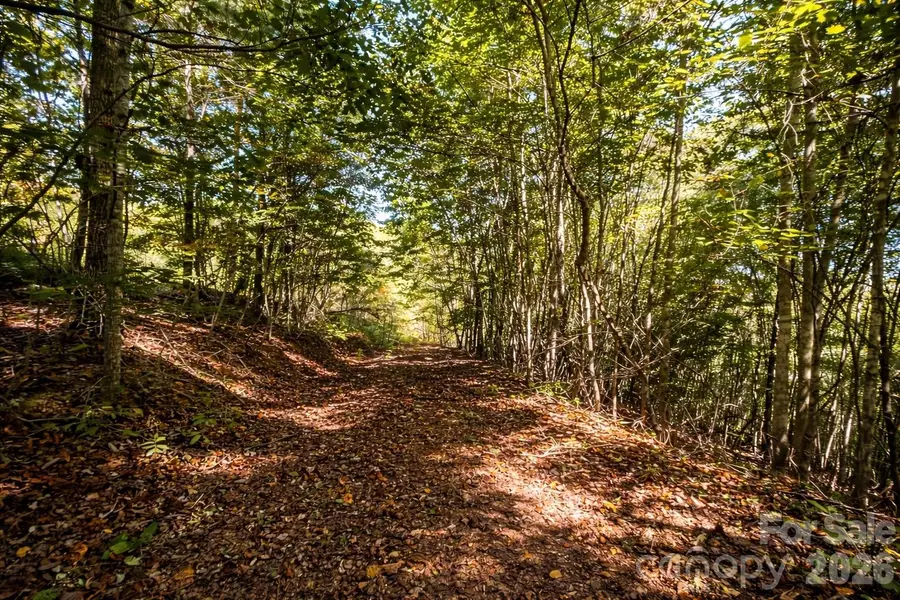 140 Johns Ridge Parkway #140, Lenoir, NC 28645 - #3