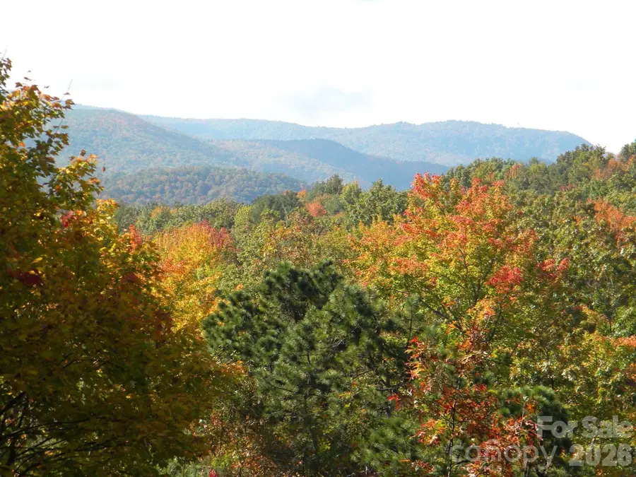 552 Kanasgowa Drive, Brevard, NC 28712 - #3