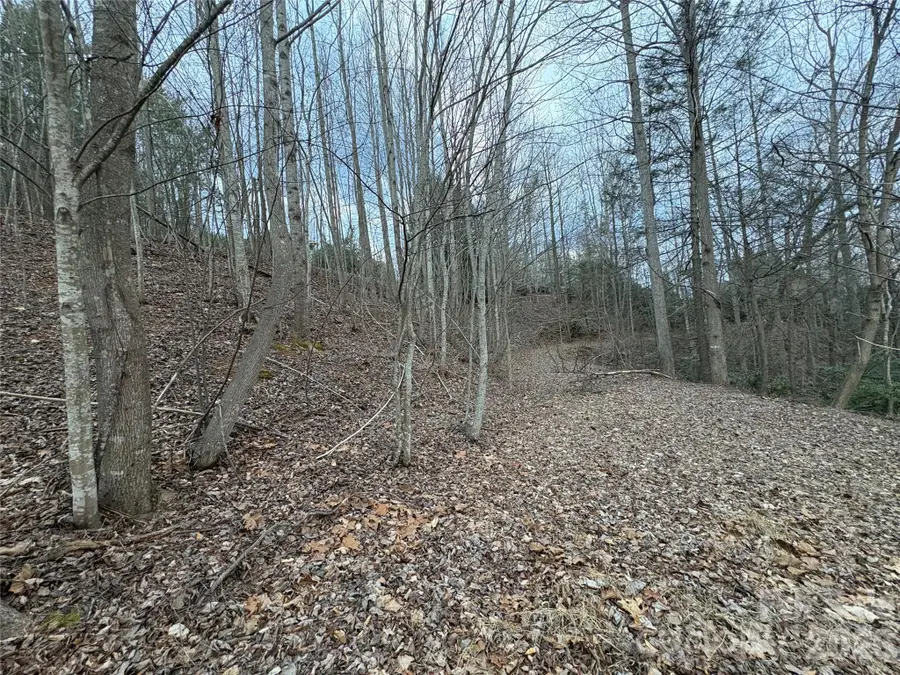 21 Pier Drive #78, Nebo, NC 28761 - #2