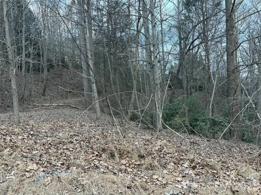 21 Pier Drive #78, Nebo, NC 28761 - #3