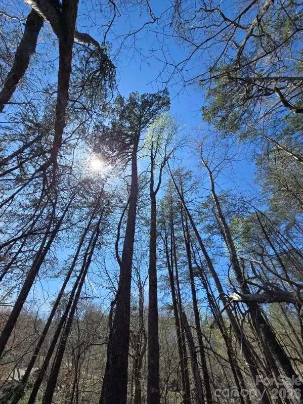 284 Oriole Drive, Lake Lure, NC 28746 - #2