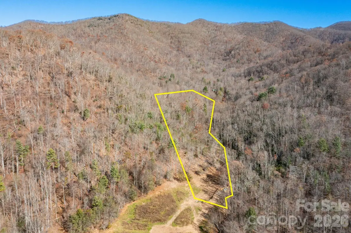 000 Cook Cove Road #2, Weaverville, NC 28787 - #1