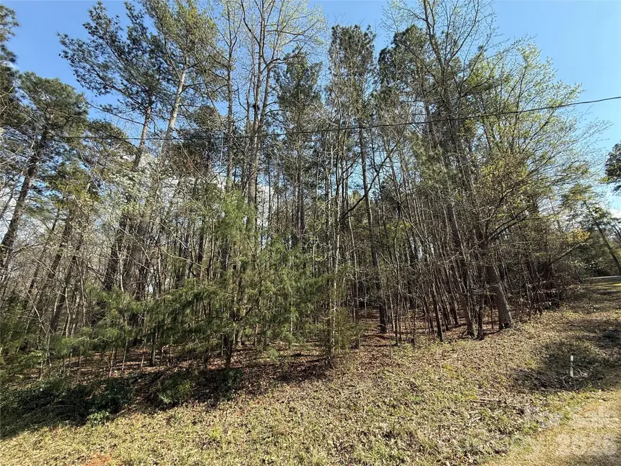 TBD E Goldmine Road, Wadesboro, NC 28170 - #3