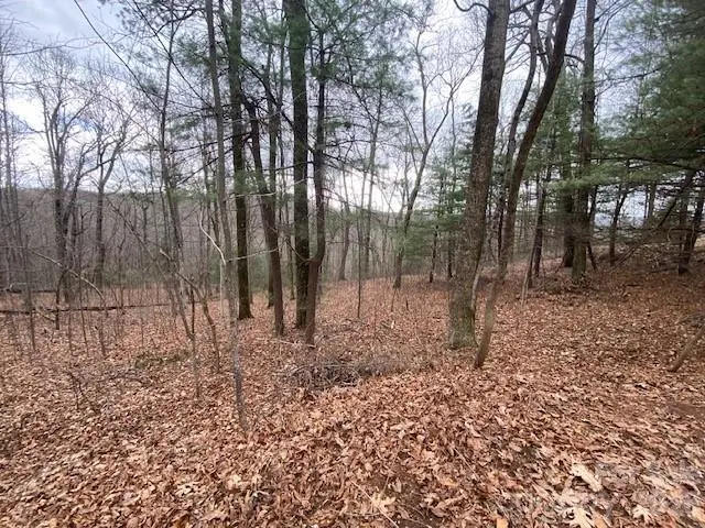 395 W Chestnut Ridges Road #14, Hendersonville, NC 28739 - #2