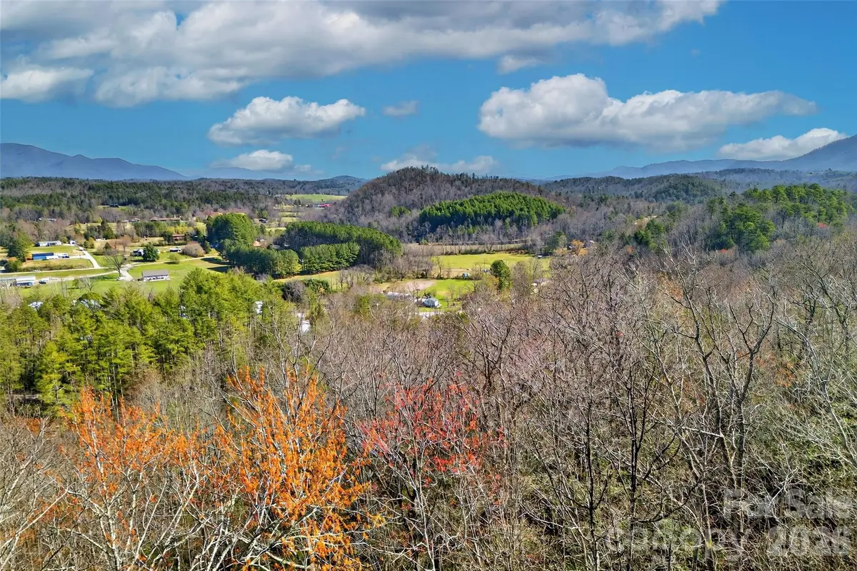 301 Black Pine Drive, Old Fort, NC 28762 - #1