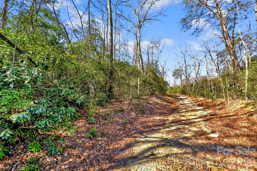 301 Black Pine Drive, Old Fort, NC 28762 - #3