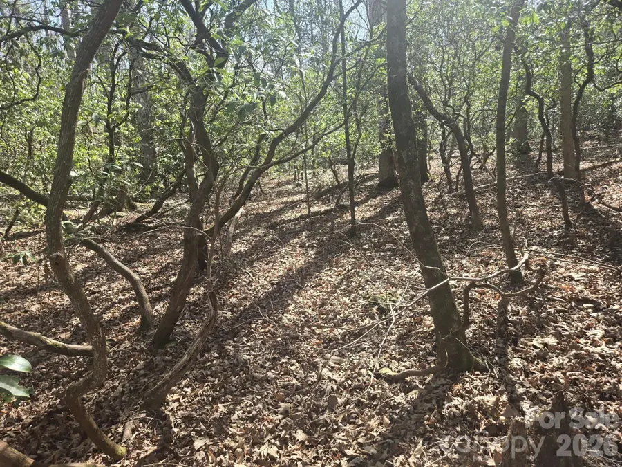 Lot 97 Mockingbird Lane, Lake Lure, NC 28746 - #2