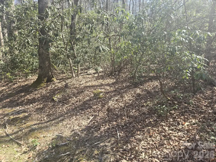 Lot 97 Mockingbird Lane, Lake Lure, NC 28746 - #3