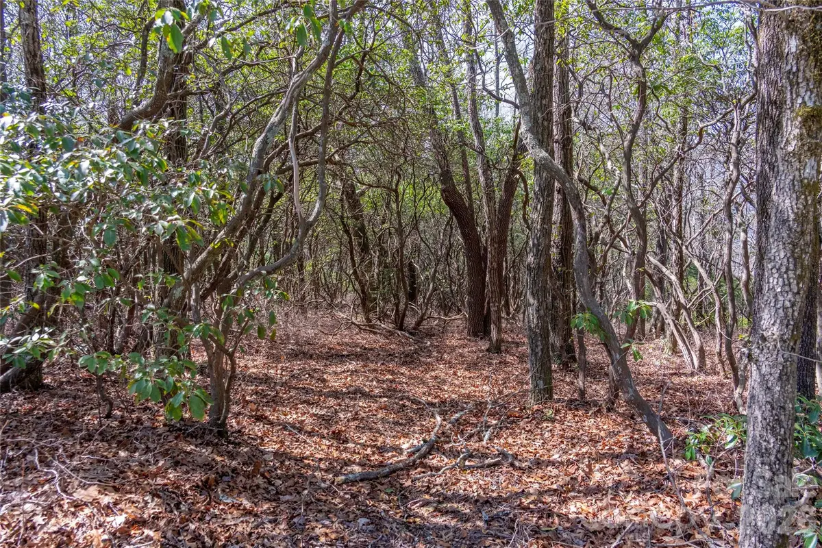 Lot 14 Lakeside Drive, Lake Toxaway, NC 28747 - #1