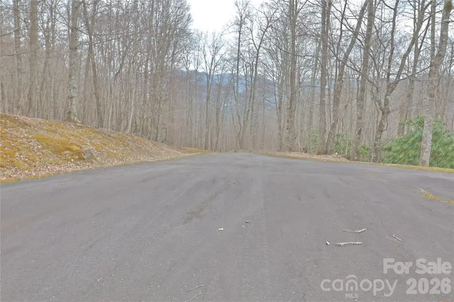 TBD Chardonnay Court #1, Newland, NC 28657 - #2