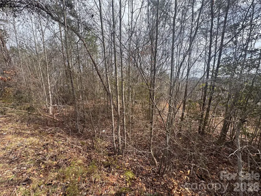 00 Billings Hill Church Road #56, Traphill, NC 28685 - #2