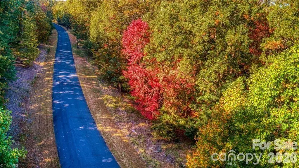 388 Palisade Trace, Denton, NC 27239 - #1