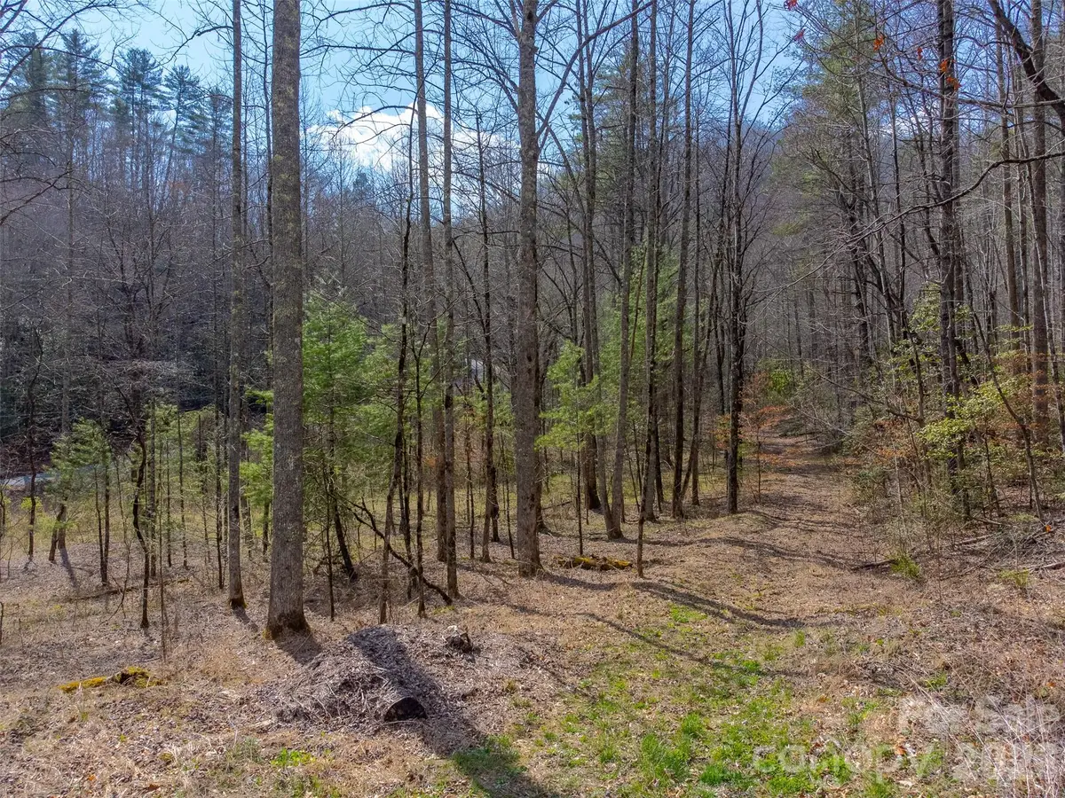 47.52 ac Little Snowbird Road, Robbinsville, NC 28771 - #1