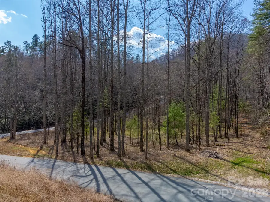 47.52 ac Little Snowbird Road, Robbinsville, NC 28771 - #2