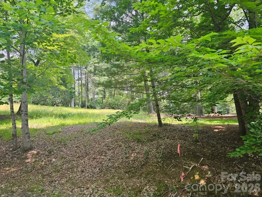 A3 Allison Creek Trail #A3, Brevard, NC 28712 - #1