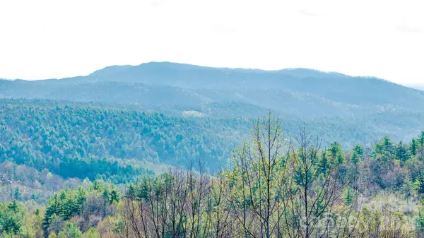 Lot 59 (7C) Cielo Drive #60 (6C), Purlear, NC 28665