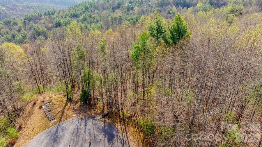 Lot 59 (7C) Cielo Drive #60 (6C), Purlear, NC 28665 - #3